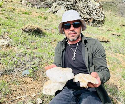 Doğada kendiliğinden yetişen protein deposu 2 bin rakımın üzerinde yetişiyor