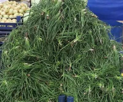 Uzmanlar uyardı: Her ot şifa anlamına gelmiyor