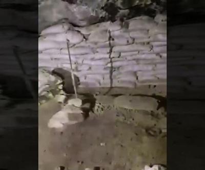SON DAKİKA... Terör yuvalarına kilit vuruluyor Irakın kuzeyindeki mağarada çok sayıda silah imha edildi