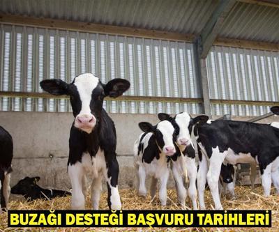 2. DÖNEM BUZAĞI DESTEKLEME BAŞVURU TARİHLERİ: Buzağı desteği başvuruları başladı mı, ne zaman