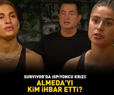 Survivor Almedayı kim ihbar etti Acun Ilıcalı, diskalifiye edildiğini duyurmuştu Tepki çeken Ayşe Yüksele sevgilisi sahip çıktı