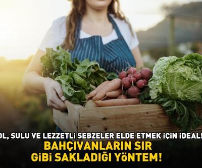 BAHÇIVANLARIN UYGULADIĞI EŞSİZ YÖNTEM Bol, sulu ve lezzetli sebzeler için mutlaka deneyin