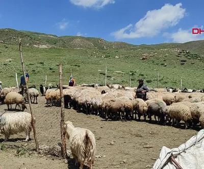 Terörün bitmesi ekonomiye ne katar