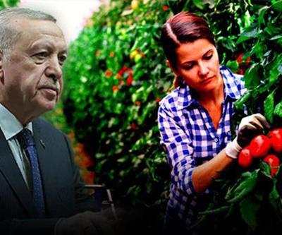 Tarımda yol haritası belli oluyor... Kararları Cumhurbaşkanı Erdoğan açıklayacak
