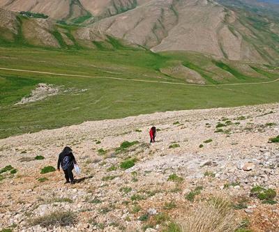 Uzmanlardan heliz otu ve mantar zehirlenmesi uyarısı