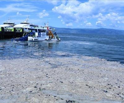 Bakanlıktan müsilaj denetimi: 268 işletmenin faaliyetleri durduruldu
