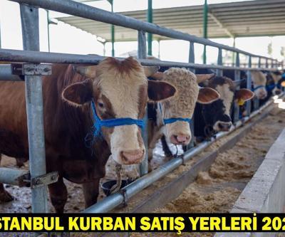 İSTANBUL KURBAN SATIŞ YERLERİ 2025: Kurbanlıklar İstanbula geldi mi Kurban pazarları kuruldu mu