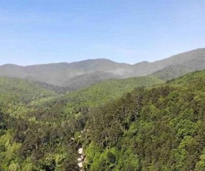 HABER... Pikniğe gidecekler dikkat Ormanlık alanlara giriş yasağı geliyor