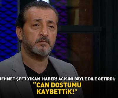 MasterChef Mehmet Yalçınkayanın acı günü Üzüntüsünü böyle dile getirdi: Can dostumu, 18 yıllık arkadaşımı kaybettik