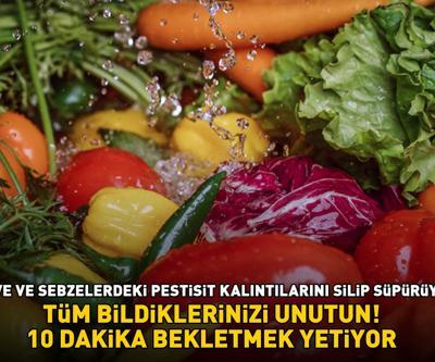 Tüm bildiklerinizi unutun Meyve ve sebzelerdeki pestisit kalıntılarını silip süpürüyor 10 DAKİKA BEKLETMEK YETİYOR