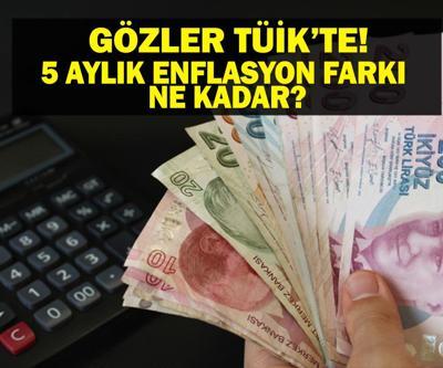 TÜİK 5 AYLIK ENFLASYON FARKI: 5 Aylık Enflasyon Farkı Ne Oldu Enflasyon Farkı Açıklandı Mı Kritik Gün Geldi