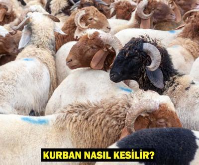 KURBAN NASIL KESİLİR Kurban Kesme Duası: Kurban Kesilirken Ne Denir Kurban Kesilince Kılınan Namaz Var mı