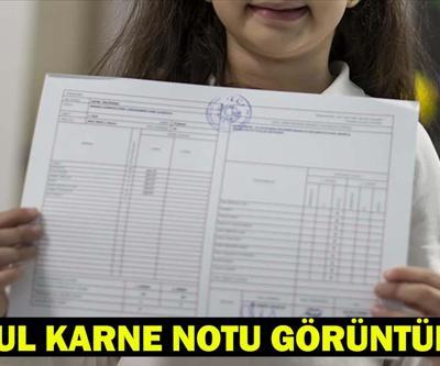 e-OKUL KARNE NOTU GÖRÜNTÜLEME MEB.GOV.TR: e-OKUL öğrenci girişi ve karne görüşü sorgulama nasıl yapılır