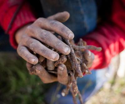 Çocuk işçiliğiyle mücadelede yeni dönem Bakanlık ve UNICEF’ten güçlü iş birliği