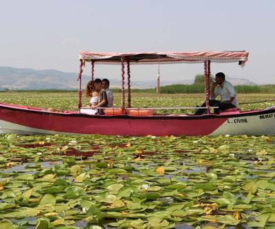 Denizliye Giden Uğramadan Dönmüyor Işıklı Gölü’nde Nilüfer Turizmi... Ziyaretçilerin İlgi Odağı Oldu