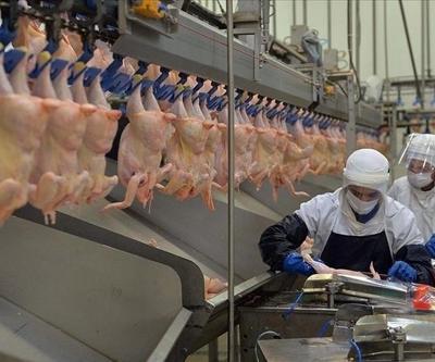Nisan ayında tavuk eti üretimi arttı, yumurta üretimi geriledi