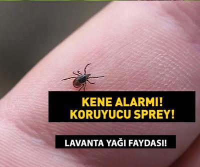 KENE KOVUCU SPREY Bu karışım keneleri uzaklaştırıyor Keneye karşı doğal çözüm, etkili ilaç