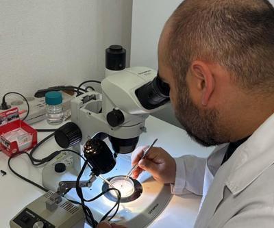 Türkiyede Son 15 Yılda 10 Farklı Kene Türü Tespit Edildi Uzmanı Artış Sebebini Açıkladı Peki İnsan Sağlığı Açısından Risk Var mı