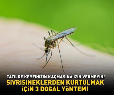 Yaz aylarının korkulu rüyası sivrisineklerden kurtulmak için 3 doğal yöntem Vücut ve ev için özel formül 4 malzeme ile hazırlanıyor