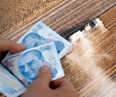 Bakanlık duyurdu 263 milyon lira destekleme ödemesi yapılacak