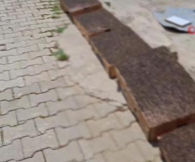Adana usulü sinek avlama merkezi