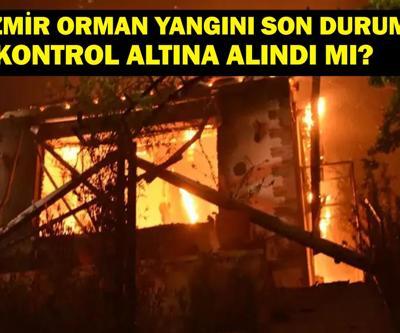 ORMAN YANGINI SON DURUM: İzmir Orman Yangını Kontrol Altına Alındı Mı Menderes, Seferihisar, Gaziemir Yangında Son Durum Ne İzmir Yangını Neden Çıktı İklim Değişikliği mi, Sabotaj mı AFAD ve İtfaiye Seferber Oldu