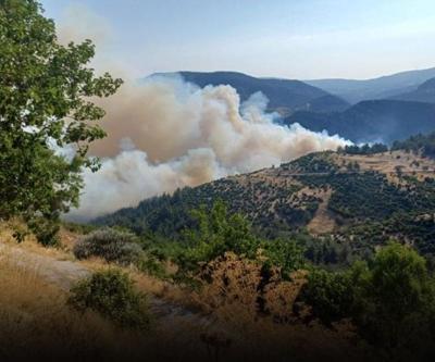 Ciğerlerimiz yanıyor Bursa-Balıkesir sınırı ve Tekirdağda orman yangını
