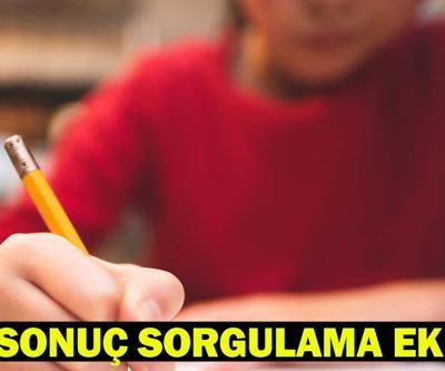 YKS SONUÇLARI SORGULAMA 2025 (ykssonuc.osym.gov.tr) e-Devlet, ÖSYM AİS Ekranı Üniversite Sınav Sonucu Öğren YKS Sonuçları Açıklandı