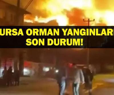BURSA SON DAKİKA ORMAN YANGINI: Bursa Orman Yangınında Son Durum Ne Gürsu, Kestel Orhaneli, Osmangazi Orman Yangınları Kontrol Altına Alındı Mı