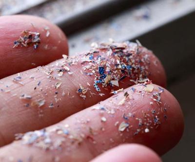 Haftada 5 Gram, Tam 1 Kredi Kartı Büyüklüğünde Plastik Yutuyoruz Tek Kullanımlık Bu Ürünler Tehlike Saçıyor
