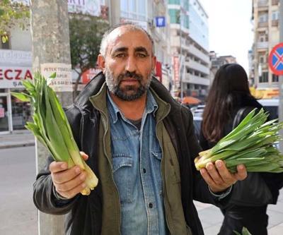 Doğal Antibiyotik Doğada Kendiliğinden Yetişiyor