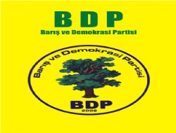 BDPden hükümete eleştiri
