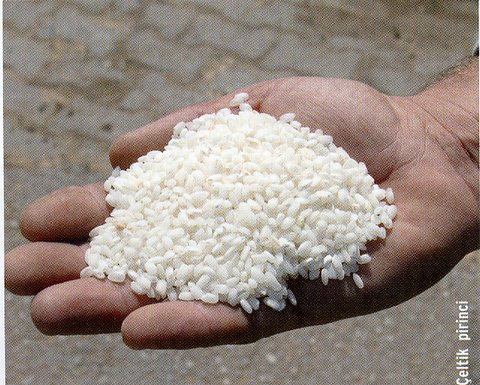 Üreticiler GDOlu pirinç iddialarına tepki gösterdi