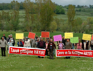 Köyde tavuk çiftliği protestosu