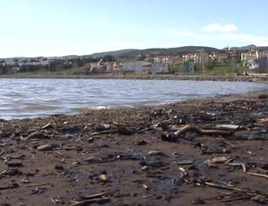 İzmirde denizin kirletildiği iddiası