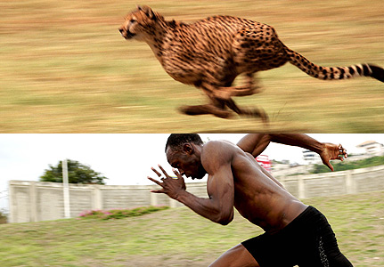 Neden hep Bolt kazanıyor