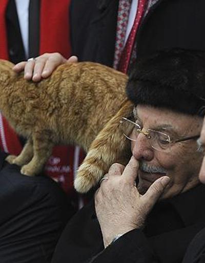 Erbakanı anma töreninde kedi şaşkınlığı