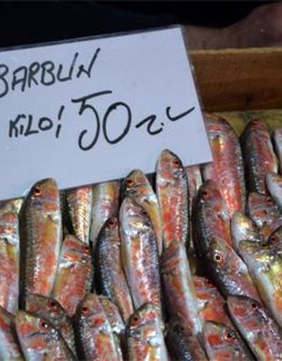 Balık fiyatları el yakıyor