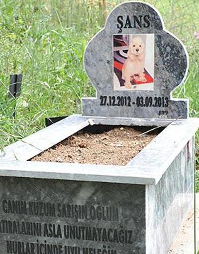 Türkiyenin ilk Evcil Hayvan Mezarlığı
