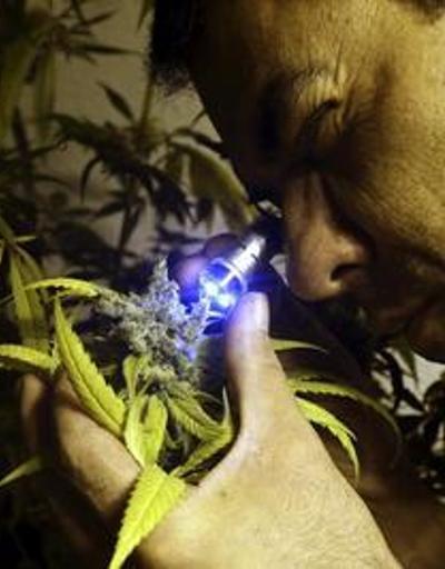 Uruguayda yasal uyuşturucu satışı başlıyor