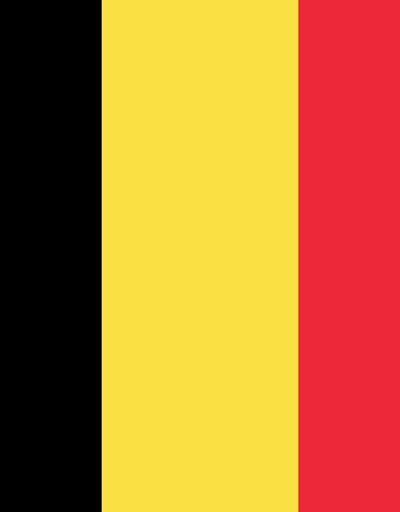 Belçikada 81 mülteci gözaltında