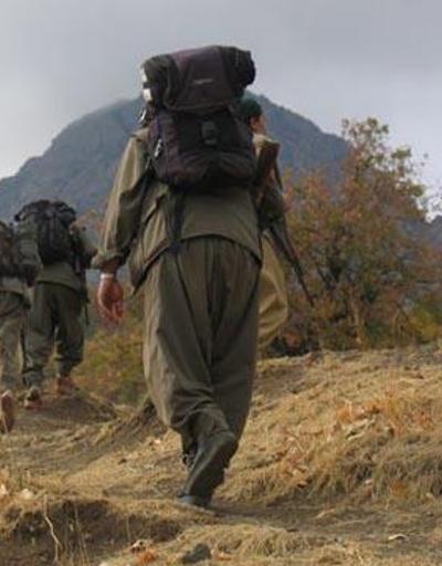 Cezaevindeki PKKlılar açlık grevine başladı