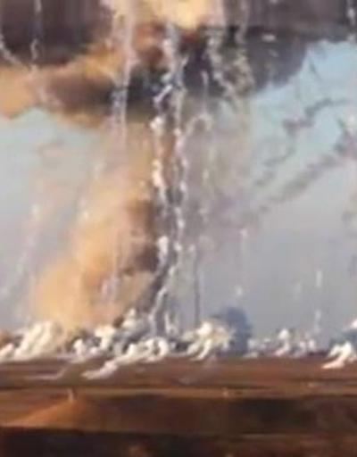 İsrailin kullandığı iddia edilen fosfor bombası nedir