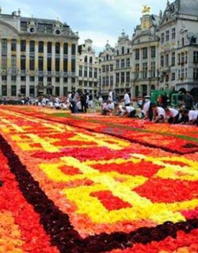 Belçikada 600 bin çiçekten Türk halısı