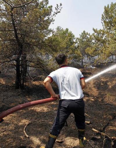 Atatürk Orman Çiftliğinde yangın