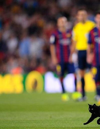Barcelona maçında sahaya kara kedi girdi