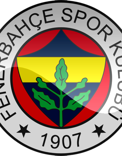 Fenerbahçede Kiğılı ve Özokurun istifaları kabul edildi