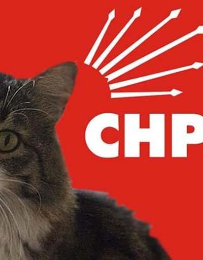 CHPden Şero imzalı Hayvan Hakları Genelgesi