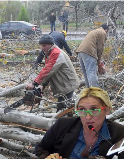 CHP milletvekili Melda Onurdan CHPli Yalova Belediyesine ağaç kesme tepkisi