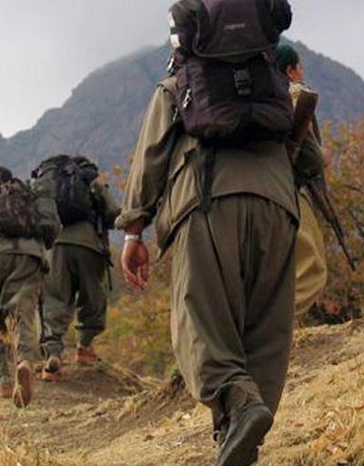 Siirt Valiliği: Kemerli Köyü saldırısını PKKlı teröristler yaptı, 5 kişi gözaltında
